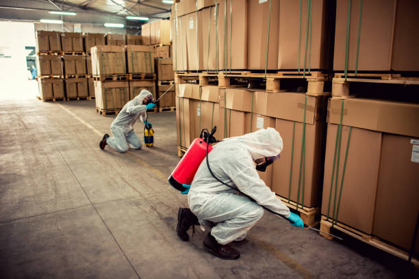 Best Best Pest Control Companies  in Taylor Mill, KY