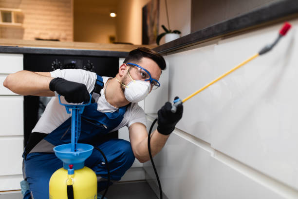 Best Local Pest Control Services  in Taylor Mill, KY