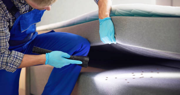 Pest Prevention Services in Taylor Mill, KY